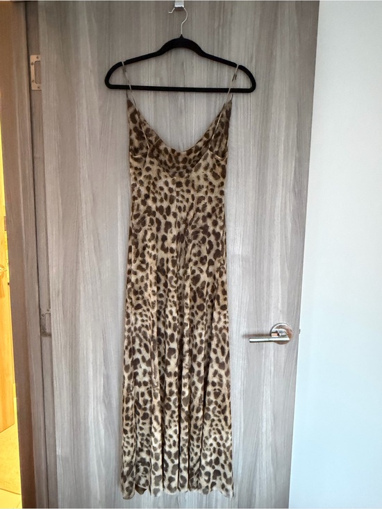 Zara Dresses & Skirts - Leopard Print Slip Maxi Dress - Brown & Tan XS